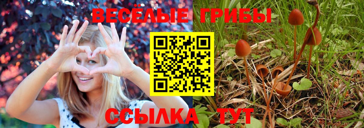 Троицк  Псилоцибиновые грибы Psilocybine cubensis  Вход с VPN  Псилоцибиновые грибы ЛСД 